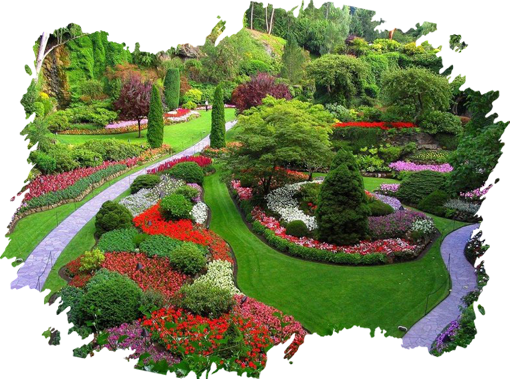 Commercial Gardening Bell Gardens thumbnail